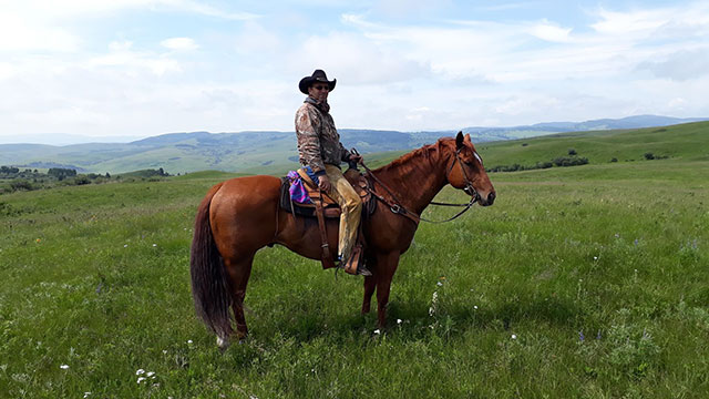 Ranch-barrel horse